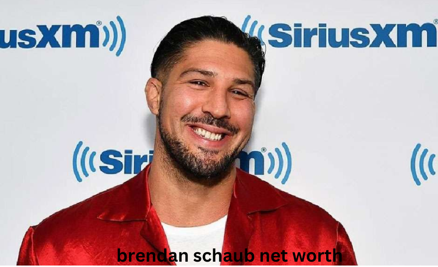 brendan schaub net worth