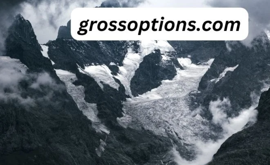 grossoptions.com