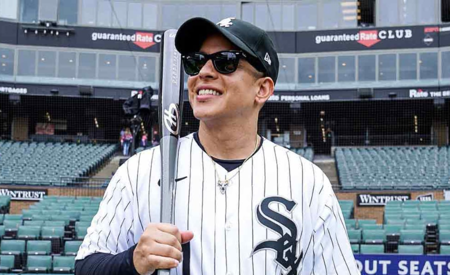 daddy yankee net worth